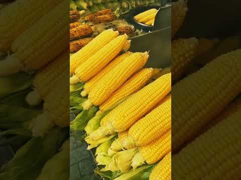 WHY DO YOU LOVE |Marc Lane|Nicholas Carter|Shelley Elizabeth Nelson| COVER SONG BY ISHITA D'SOUZA