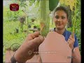 rividina-arunella-04-11-2018