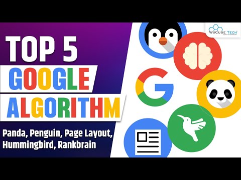Top 5 Google Algorithms Related To SEO | Panda Penguin Hummingbird Page Layout RankBrain