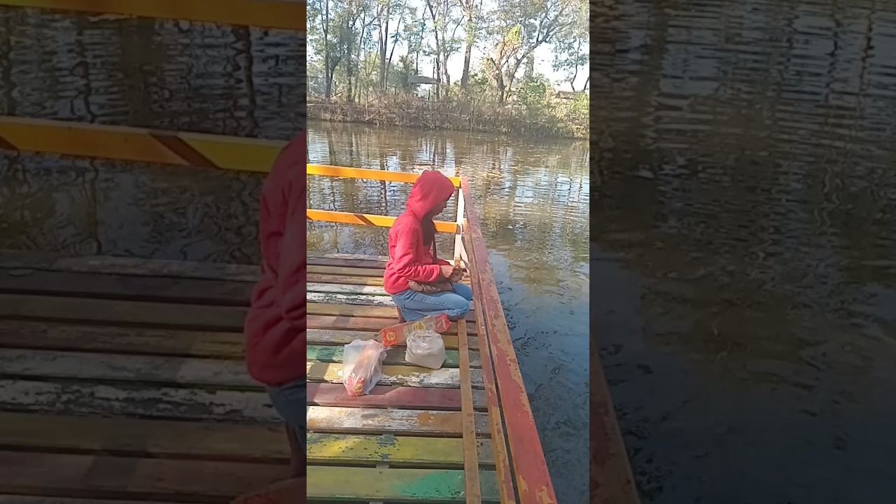 မွေးနေ့ ငါးစာကျွေး