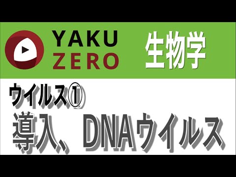 DNA ウイルスについて詳しく解説