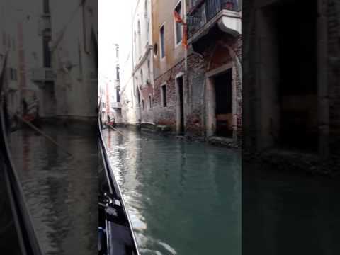 Omar in Venice 2