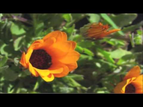 national geographic promo