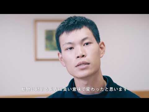 麻布大学 動物応用科学科 卒業生 JRA 日高育成牧場 勤務