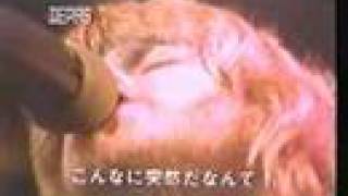 Chicago - Questions 67 &amp; 68