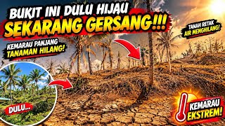 Download lagu CRITICAL‼️ The Hill That Was Once Green Is Now Barren! Prolonged Drought Makes Plants Disappear 😱🌴 mp3