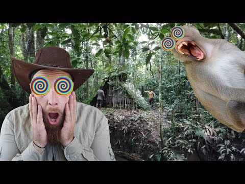 JE ME FAIS ATTAQUER PAR DES SINGES MANGEURS D'HOMME (stage de survie dans la jungle amazonienne)