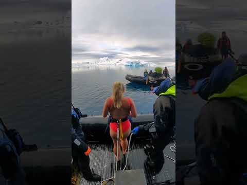 Polar plunge in Antarctica 🇦🇶 #polarplunge #antarctica