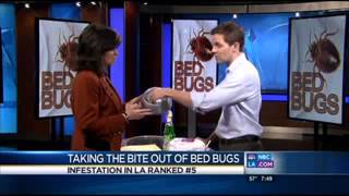 How to get rid of bed bugs 100%