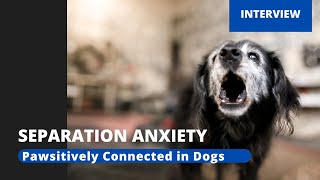 Separation Anxiety 101- Live Conversation on Training