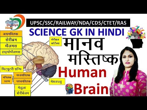 मानव मस्तिष्क | Human Brain | Science Gk in Hindi | SSC | Gk in Hindi | Science Gk | Brain Video