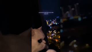 Download lagu STORY WA DJ QUOTES 15 DETIK||STORY WA QUOTES JEDAG JEDUG KEREN mp3