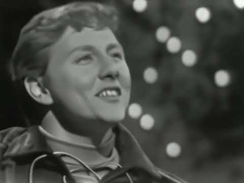 Bob Lind   Elusive Butterfly 1965 4K