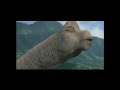 Opening To Pocahontas UK DVD 2001