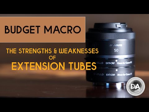 Cheap Macro?  The Pros and Cons of Extension Tubes