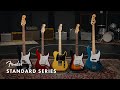 Exploring the Standard Series | Fender