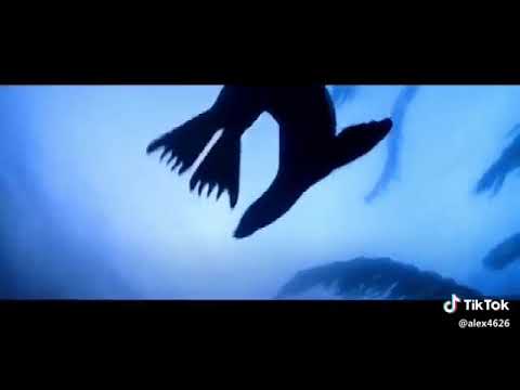 Ecco come sarà il mondo  nel 2066