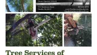 preview picture of video 'Tree Services of Omaha - Omaha, Nebraska'