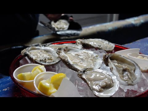 Orlando's Oldest Oyster Bar: Lee and Rick's Oyster Bar and Seafood House
