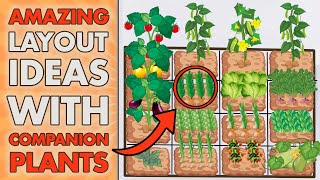 5 SQUARE FOOT GARDENING Layout Ideas With COMPANIO