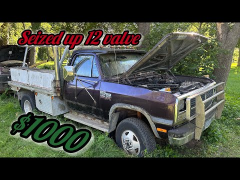 Will It Start? Seized up and Flooded Dodge W350 12 valve back from a decade of sitting!