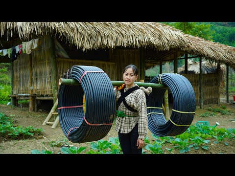 30 Days in the Deep Forest | Fishing for Giant Fish and Harvesting Crops with My Son. daily life