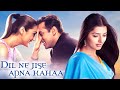 Dil Ne Jise Apna Kahaa 2004 Superhit Hindi Movie Salman Khan Preity Zinta Bhoomika Chawla
