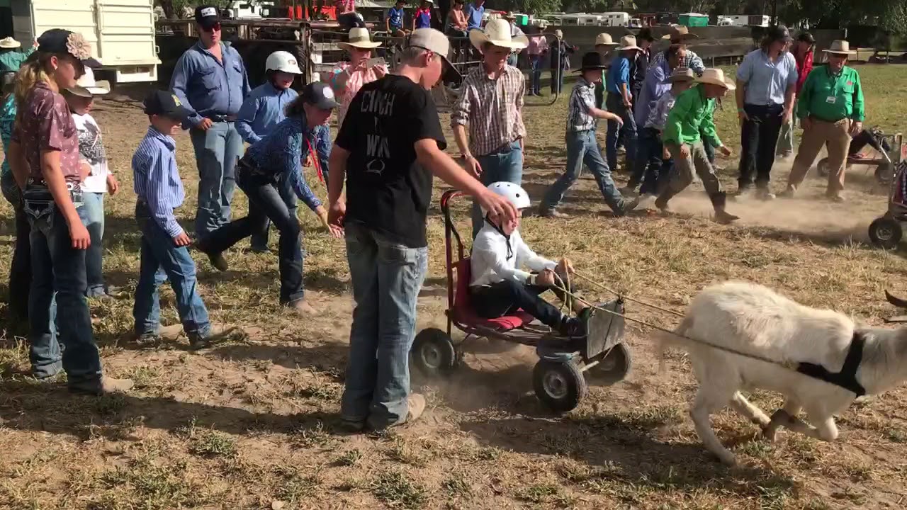 King of the ranges 2018 goat race
