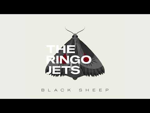 The Ringo Jets - Black Sheep (Official Audio)
