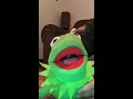 Rainbow Connection Kermit The Frog