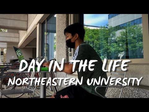 a typical summer day in college | northeastern university
