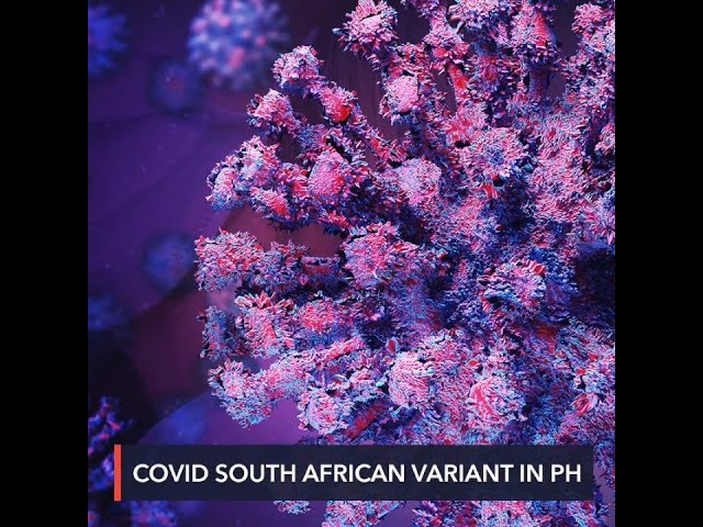 DOH detects South African COVID-19 variant in PH, reports 6 cases