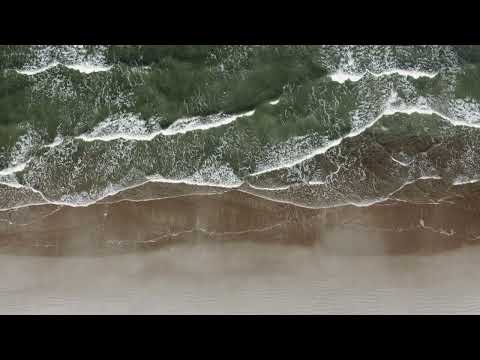 BRVDCH - Will fist [Beat]