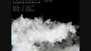 Cephalophore - Jeanette Isabella