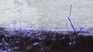 Maria BC – “ROF” (Rachika Nayar remix)