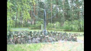 preview picture of video 'Rumbula Forest Site of the Nazi SS 30 Nov. 8 Dec. 1941 Jewish Mass Murders.wmv'