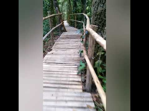 Dubplate Trezeroots & Guerreiro (Chile) & Levi Ras - Estamos aqui (Roots)