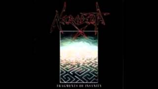 Necrodeath - State of Progressive Annihilation (1989)