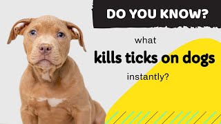 what kills ticks on dogs instantly? this video will HELP YOUR DOG from ticks and fleas