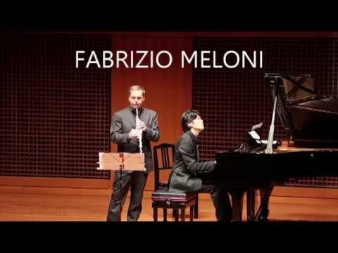 Fabrizio Meloni: IL CLARINETTO - Il libro - Zecchini Editore