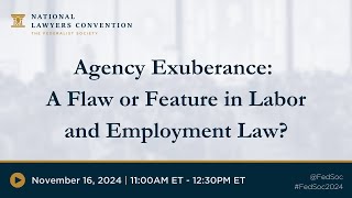 Click to play: Labor & Employment Law: Agency Exuberance: A Flaw or Feature in Labor and Employment Law?
