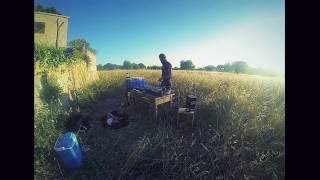 Cilly & Philly - Avena Sundown