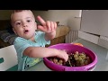 VEGAN BABY FOOD | EATING GRAPES | MUKBANG