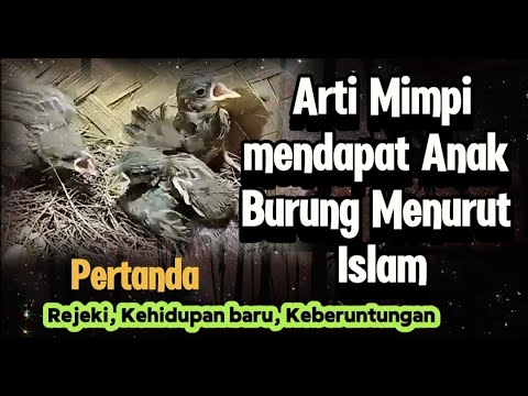 Inilah !! 4 Tafsir Arti Mimpi Anak Burung Menurut Ulama Islam, Bawa Kabar Baik Dan Rejeki.!