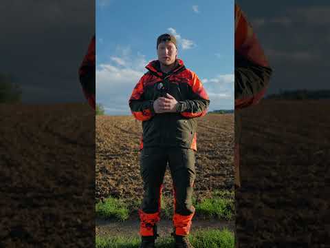 Warum wir Jungtiere erlegen müssen  🦌🎯 - Frag den Jäger