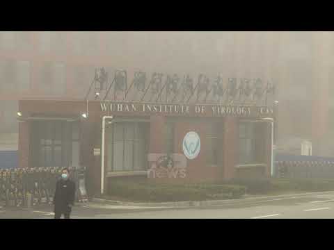 Top News - Nga erdhi koronavirusi... 007-at amerikane të ndara për origjinën
