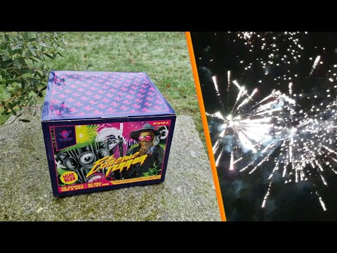 Albert Extreme Terror Batterie | Top!