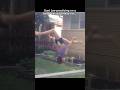 Suni Lee Trained On A Beam Her Dad Made Her 🥹 Gymnast Sunilee Gymnastics Olympics Olympic