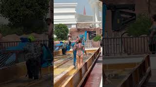 ☀️Water Park Nice Swimming Pool -Dream Holiday? #aquapark #waterslide #waterpark