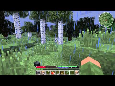 TerraFirmaCraft SSP: Episode 11 - Death and a Neigbor